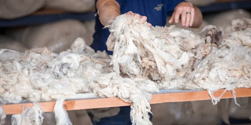 همه چیز درباره استفاده از پشم گوسفندی در کالای خواب